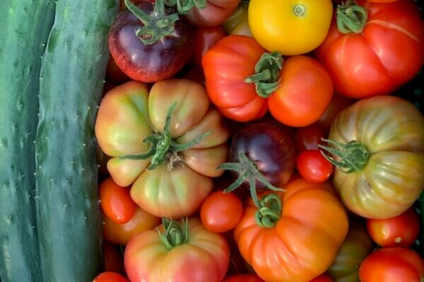 Tomaten: tomatenmix